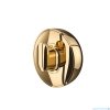 Tiger Cooper Gold Haczyk duży złoty 800556